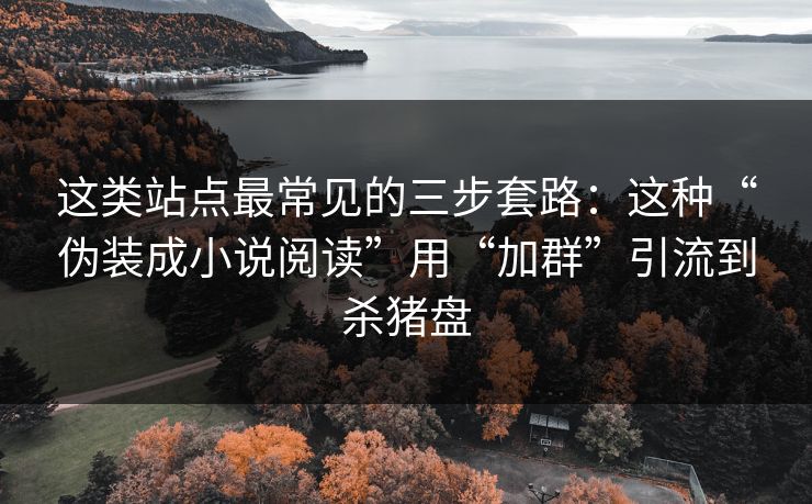 这类站点最常见的三步套路：这种“伪装成小说阅读”用“加群”引流到杀猪盘