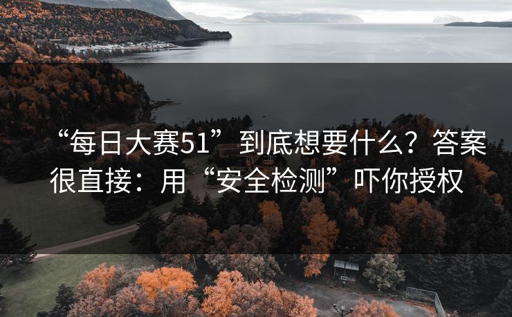 “每日大赛51”到底想要什么？答案很直接：用“安全检测”吓你授权