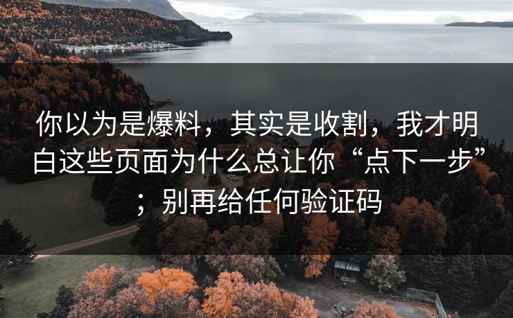 你以为是爆料，其实是收割，我才明白这些页面为什么总让你“点下一步”；别再给任何验证码