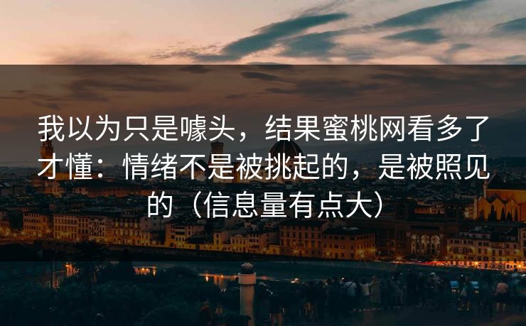 我以为只是噱头，结果蜜桃网看多了才懂：情绪不是被挑起的，是被照见的（信息量有点大）