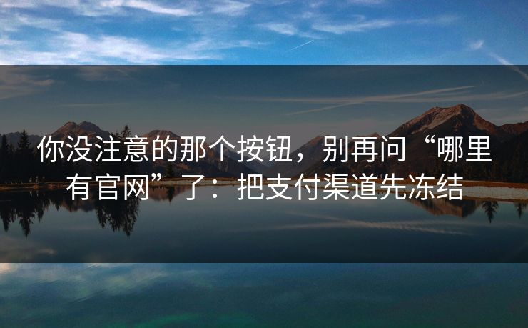 你没注意的那个按钮，别再问“哪里有官网”了：把支付渠道先冻结