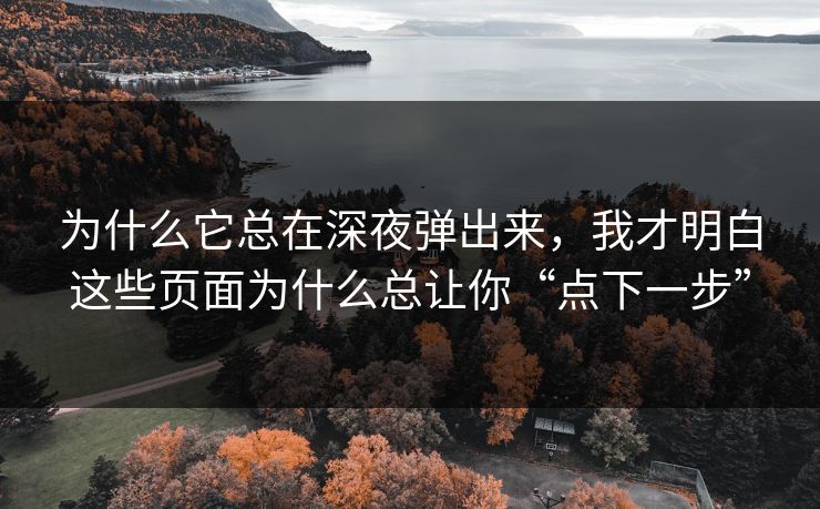 为什么它总在深夜弹出来，我才明白这些页面为什么总让你“点下一步”