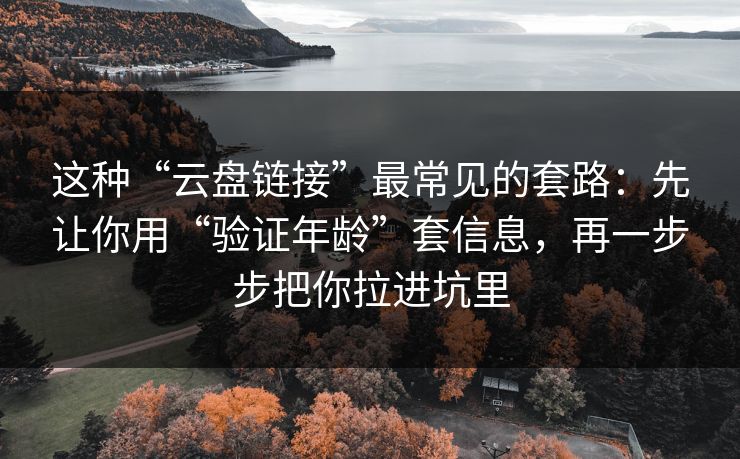 这种“云盘链接”最常见的套路：先让你用“验证年龄”套信息，再一步步把你拉进坑里