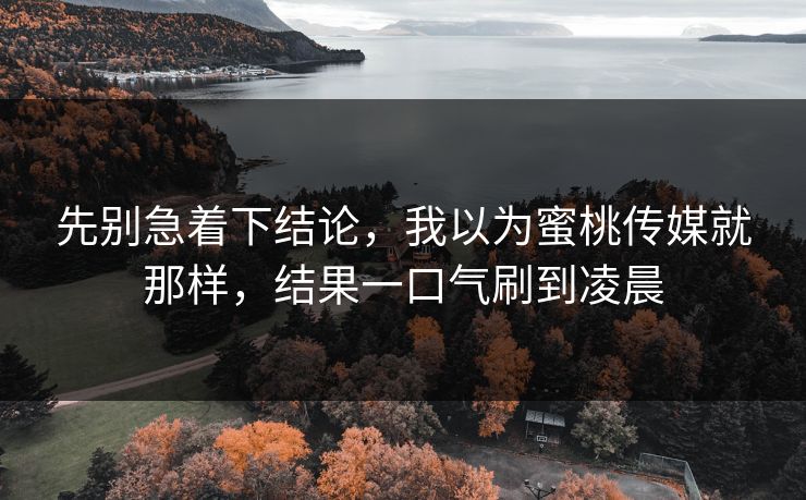 先别急着下结论，我以为蜜桃传媒就那样，结果一口气刷到凌晨